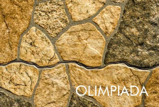 garduri din beton vopsite imitatie piatra lemn