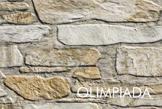 garduri din beton vopsite imitatie piatra lemn