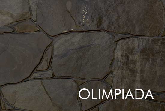 garduri din beton vopsite imitatie piatra lemn