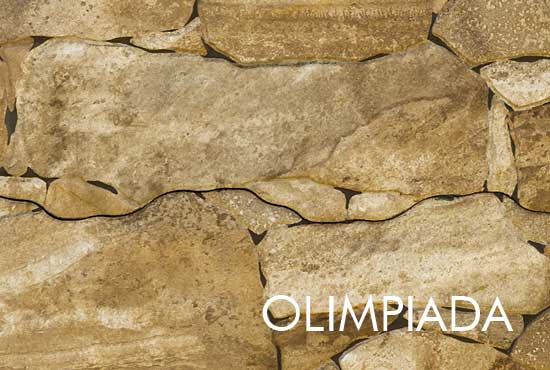 garduri din beton vopsite imitatie piatra lemn