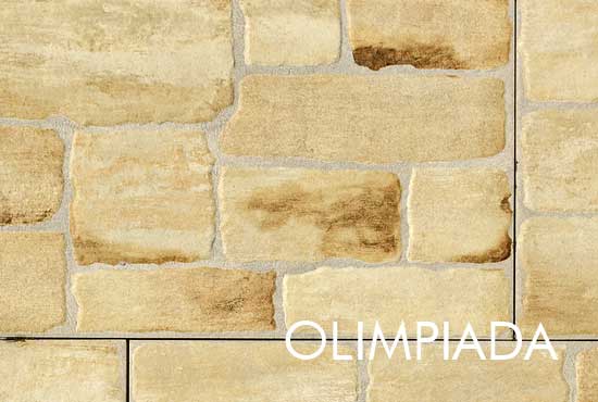 garduri din beton vopsite imitatie piatra lemn