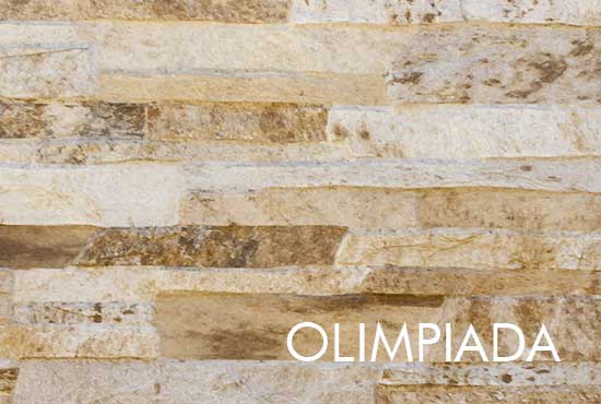 garduri din beton vopsite imitatie piatra lemn