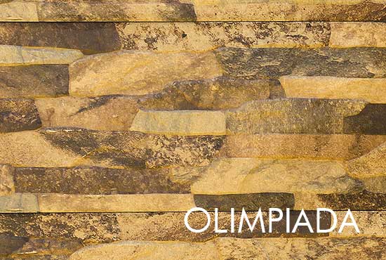 garduri din beton vopsite imitatie piatra lemn