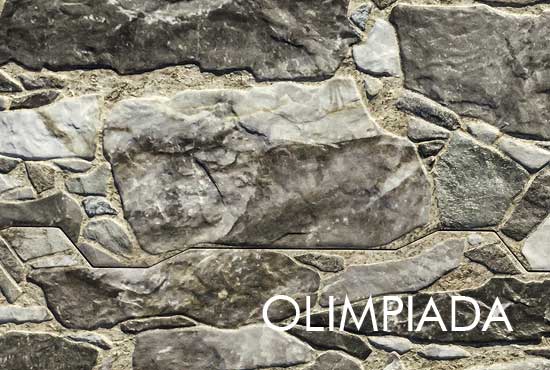 garduri din beton vopsite imitatie piatra lemn