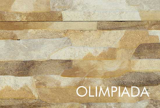 garduri din beton vopsite imitatie piatra lemn