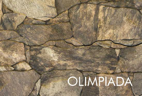 garduri din beton vopsite imitatie piatra lemn